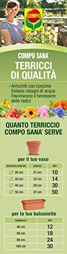 Compo 11611 SANA orchideeënaarde met 8 weken meststof voor alle orchideeënsoorten, cultuursubstraat van dennenschors, 5… - Afbeelding 5