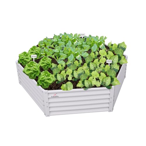 A ANLEOLIFE Hexagon Metal Raised Garden Bed, 18'' Tall Galvanized Flower & Ornamental Planter, 3FT Wide Decorative Raised Bed, Antique White