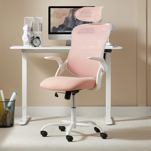 Ergonomic Home Mesh Chair