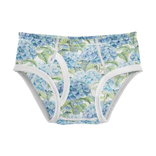 Boys' Exclusive Briefs Toddler Underwear 95% Combed Cotton Boxerbriefs 2T Hydrangea Pattern Flower 19