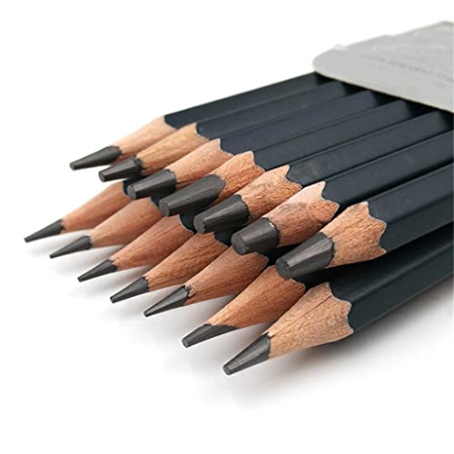 Zestaw pędzli do malowania – 14 profesjonalnych ołówków do szkicowania (HB, 2B, 3B, 4B, 5B, 6B, 10B, 12B) do artykułów piśmienniczych i malowania
