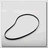 SaniServ Type 460-J Belt for Ice Cream Machine
