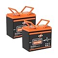 LIPULS 12V 100Ah LiFePO4 Lithium Battery (2-Pack), 4000~15000 Deep Cycle Lithium Iron Phosphate Battery, Built-in 100A BMS, Support in Series/Parallel, for RV, Camping, Trolling Motor, Off-Grid System