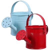 Toddmomy 2pcs Watering Can for Kids - Small Metal Watering Can Plant Watering Can for Boys and Girls Garden Yarde Home Use, 15X7.5CM, Red