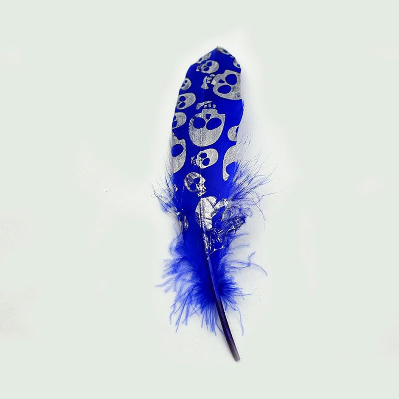 Plumes d'oie colorées pour loisirs créatifs et coiffure de festival (100 pièces)
