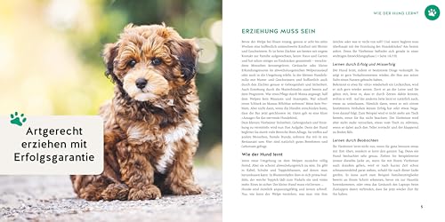 Welpen-Erziehung: Der 8-Wochen-Trainingsplan für Welpen. PLUS: Jung-Hund-Training vom 5. bis zum 12. Monat. Der Top-Seller - über 250.000 verkaufte Exemplare! (GU Welpen)