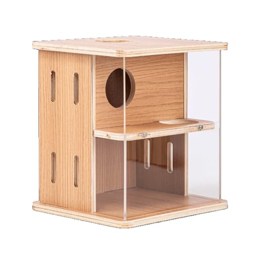 Flood Forcě@orABƁAS[fnX^[̑pƋAؐ̉BꑃAdwANnX^[̑