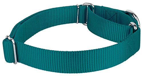 Country Brook Petz - Teal Martingale Heavy Duty Nylon Dog Collar - 21 Vibrant Color Options (1 Inch Width, Extra Large) #TOP6