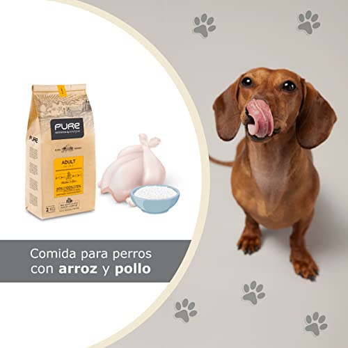 Avantis Pure Brave Mini, Futter für Erwachsene Hunde Kleiner Rassen, 2 kg, knuspriges und leicht zu kauendes Krokettenfutter, Huhn und Reis
