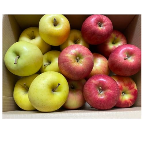 XY  lߍ킹 3~4kg i킨܂ T WiS[h VimXC[ g ӂ Ƃ ̋P ܖ  iʁEʍ) 80TCY