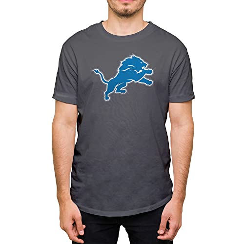 Hybrid Sports NFL - Detroit Lions Distressed Team Logo - Mens and Womens Short Sleeve T-Shirt - Size Large - Detroit Lions - Charcoal