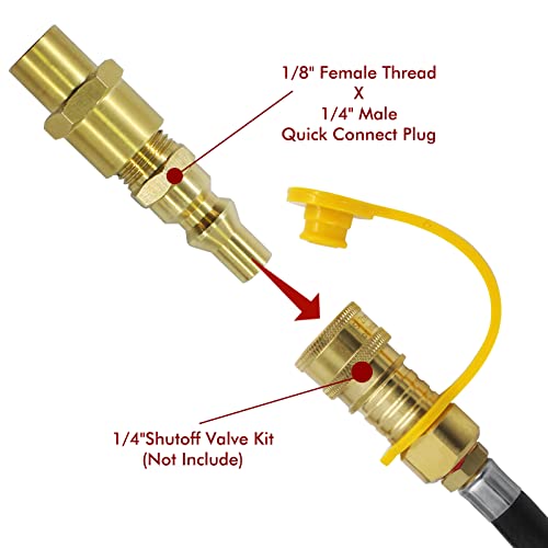MENSI 1/8 FNPT X 1/4 Male Quick Connect Plug Propane