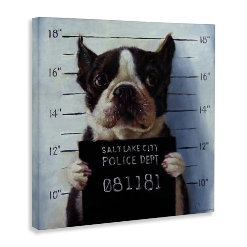 Image of Boston Terrier Mugshot Humor, 24 x 24 Inch Canvas Wall Art | Stupell Industries . By Lucia Heffernan . Ready to hang . Funny pet decor for living room or office . Made in USA