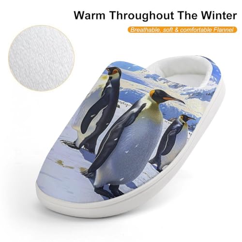 King Penguins Cute Cotton Slippers Anti-slip House Shoe Slipper Indoor Outdoor4