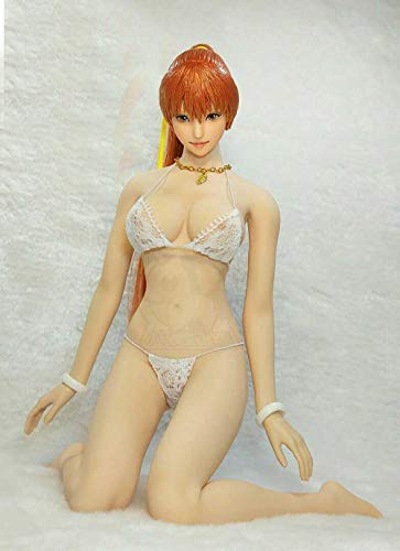 [AC]ACFUN-JP AC041 1/6 ZNV[ l  ANV tBMA V[X f {fBp  u ANZT[ Zbg