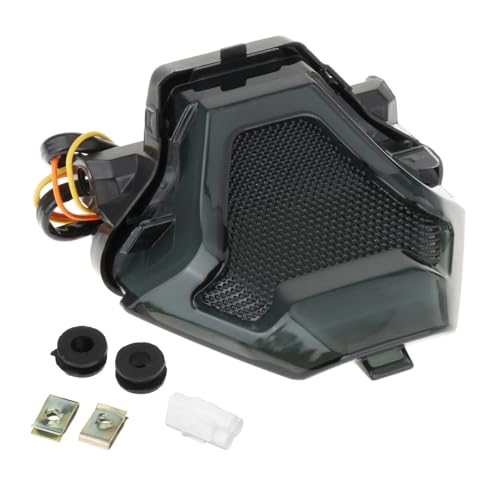 Luz trasera de motocicleta de 12V conjunto con señales de giro para Yzf R25