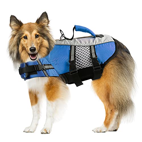 List of Ten Best Dog Life Jackets [Experts 2023 Reviews]