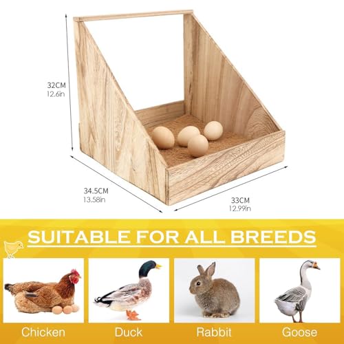 Dortoir ferme isolant pour protéger les poules du froid