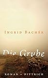 Die Grube: Roman