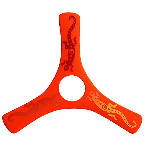 LMI and FOX – Boomerang, lmisrg - Image 4