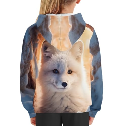 JooMeryer Teens Kids Boys 3D Fox Printed Animal Long Sleeve Hoodie Sweatshirts 6-16Y4