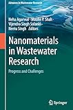 Nanomaterials in Wastewater Research: Progress and Challenges (Advances in Wastewater Research)