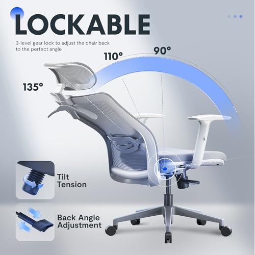 Image of FLEXISPOT OC3 Cloud Ergonomic Office Chair, Mesh Back Computer Chair, Home Office Desk Chairs with Adjustable Lumbar Support /3D Headrest /Reliable Base, Elastic Foam Seat, Light Gray