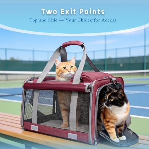 Pet Carrier for Medium-Small Cats, Collapsible Cat Carrier and Soft-Sided Pet Carrier for Medium Big Cats and Puppy Up to 17lbs, 2-Way Entry with Privacy Cover, Travel Bag L18.9”X11.42”X11.42” — 사진 4