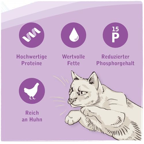 Venandi Animal Vet - Premium Trockenfutter für Katzen - Diät - Renal - Niereninsuffizienz - Huhn, 1er Pack (1 x 0,3kg), getreidefrei