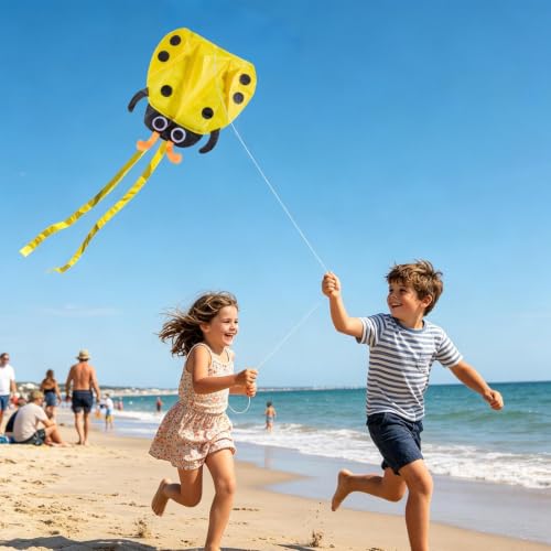 Cometa de playa para niños diseño de Ladybug de Generisch para parque 2