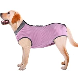 Dotoner Post-Surgery Dog Vest – Soft Recovery Suit for After Surgery/Neuter, Alternative to Cone, Cotton Belly, Snaps for Easy Dressing, Ideal for Male & Female Dogs (M,Pink)