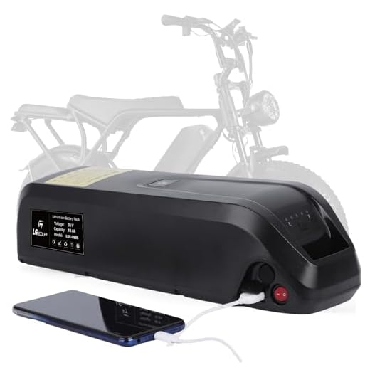 36V 10Ah E-Bike Battery Pack with USB