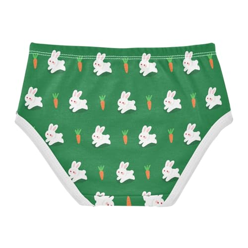 Cute Bunny Rabbit Carrot Green Toddler Girls's Underwear 2T 23022382