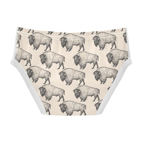 Boys' Underwear Cotton Little Boys Bison Cow Briefs Soft Toddler Underwear 2T-8Y2