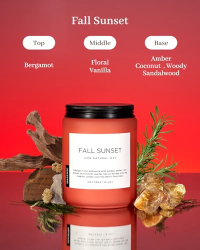MSENSE-Fall-Sunset-Large-Soy-Candles-Amber-Wood-Scented-Candles-194oz-110-Hours-Long-Lasting-Slow-Burning-Natural-Organic-Relaxing-Aromatherapy-Candle-Gifts-for-Women-Men-MSS603L03