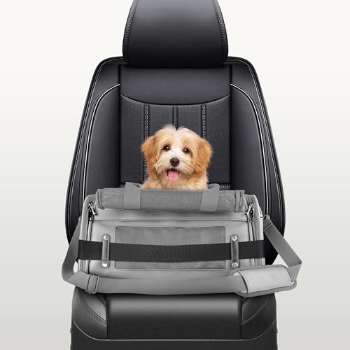 Citrusy Boutique LUXURY PET CARRIER Size Xs/S - For Small Dogs And Cats thumb #6