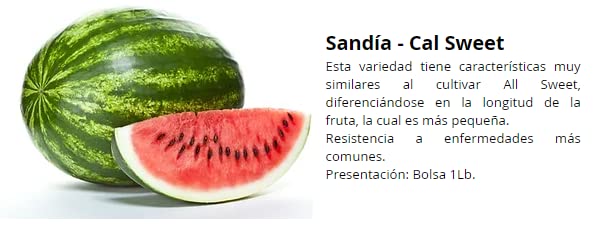 La mejor comparación de Abono triple 17 los preferidos por los clientes. 8 Imagen adicional