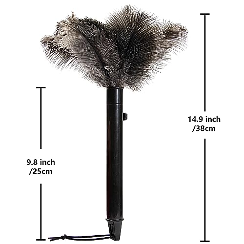 Image of Retractable Ostrich Feather Duster for Cleaning, 15 Inch Fluffy and Natural Feather Duster with Retractable Handle, Reusable Eco-Friendly Handheld Cleaning Supplies(5PCS)