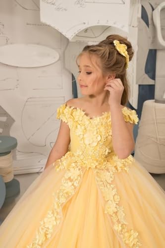Tulle Pageant Dress for Girls Off The Shoulder Flower Girl Dresses 3D Floral Princess Ball Gown First Communion Dress4