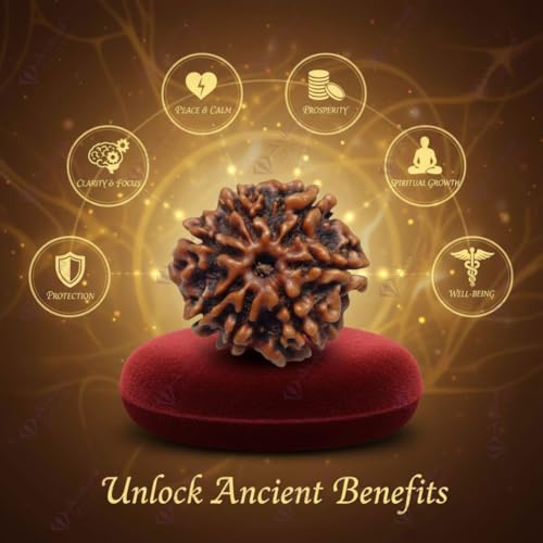Image of Arihant Gems & Jewels Original 7 Mukhi Nepali Rudraksha Pendant | Natural Certified Seven Mukhi Rudraksha in 925 Sterling Silver | Premium Nepal Rudraksh Spiritual & Astrological Jewelry for Men & Women.