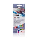 Pentel CB9 12U Boîte de 12 crayons de couleur aquarellables