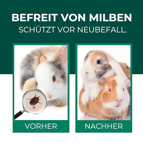 Silberkraft Milbenspray 500 ml – Milbenabwehr für Hamster, Meerschweinchen & Nager - Repellent mit Geraniol - Spray für Fell & Käfig - Sofort- & Langzeiteffekt
