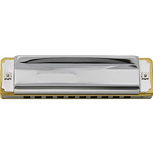 KIRANDIE Harmonica 10 Trous diatoniques Blues Harp Laiton Roseaux Bouche Organ Clé C Métal Peigne Instruments de Musique… - Les Beatles, Paul McCartney, John Lennon, RIngo Starr, George Harrison KIRANDIE Harmonica 10 Trous diatoniques Blues Harp Laiton Roseaux Bouche Organ Clé C Métal Peigne Instruments de Musique… – Image 6