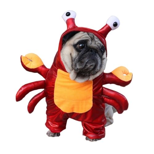 nEB  ybg ybgpi ɃRXv  JWA ӂӂ _炩  ^ L ybgEFA bh (M)