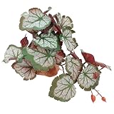 CHICAMPERA 爬虫類テラリウム用フェイクプラント 無害樹脂製 人工観葉植物 亀 トカゲ 両生類の休憩 遊び場装飾用 リアル質感ストレス軽減サポ