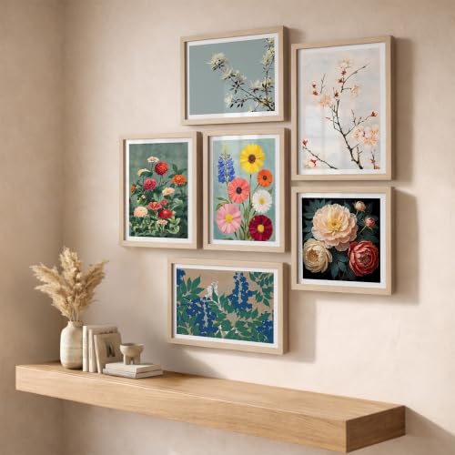 Image of NoWorries Floral Botanical Wall Painting Set of 6 with Frame | Blossom, Daisy, Peony, Wildflower & Garden Flower Artwork for Living Room, Bedroom, Office and Home Decor (Art-17, Frames Size-10x13, 10x10 inches)