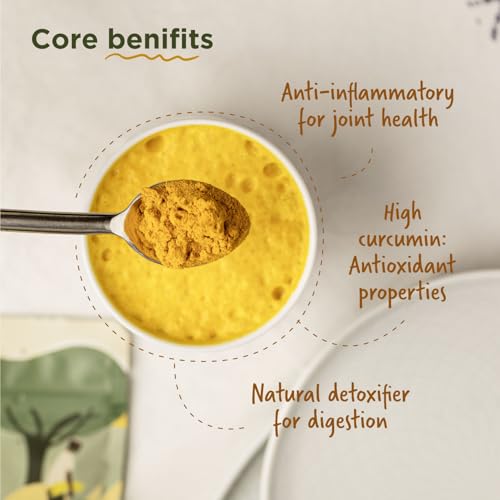 Image of TWO BROTHERS ORGANIC FARMS - Turmeric Powder (100 Gm) | Naturally Grown, Stonegrinded Haldi Powder | Good For Digestive & Skin Health | Ground Turmeric Powder