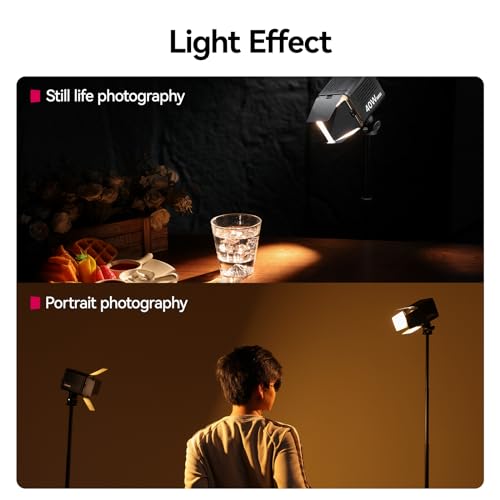 Image of Four-Leaf Light Baffle for Ulanzi LT028 40W COB Light