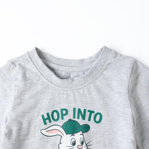 Image of HILEELANG Toddler Boy Summer Outfit Set 2 Piece Short Sleeve T Shirt and Short Soft Breathable Cotton Clothing Sets 2-7T