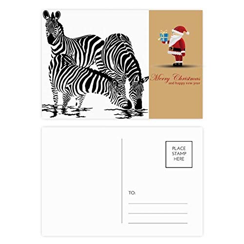 Cartes postales Pintos Noël animaux lot de 20 pour vœux et correspondance hivernale